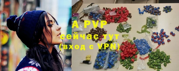 apvp Бородино